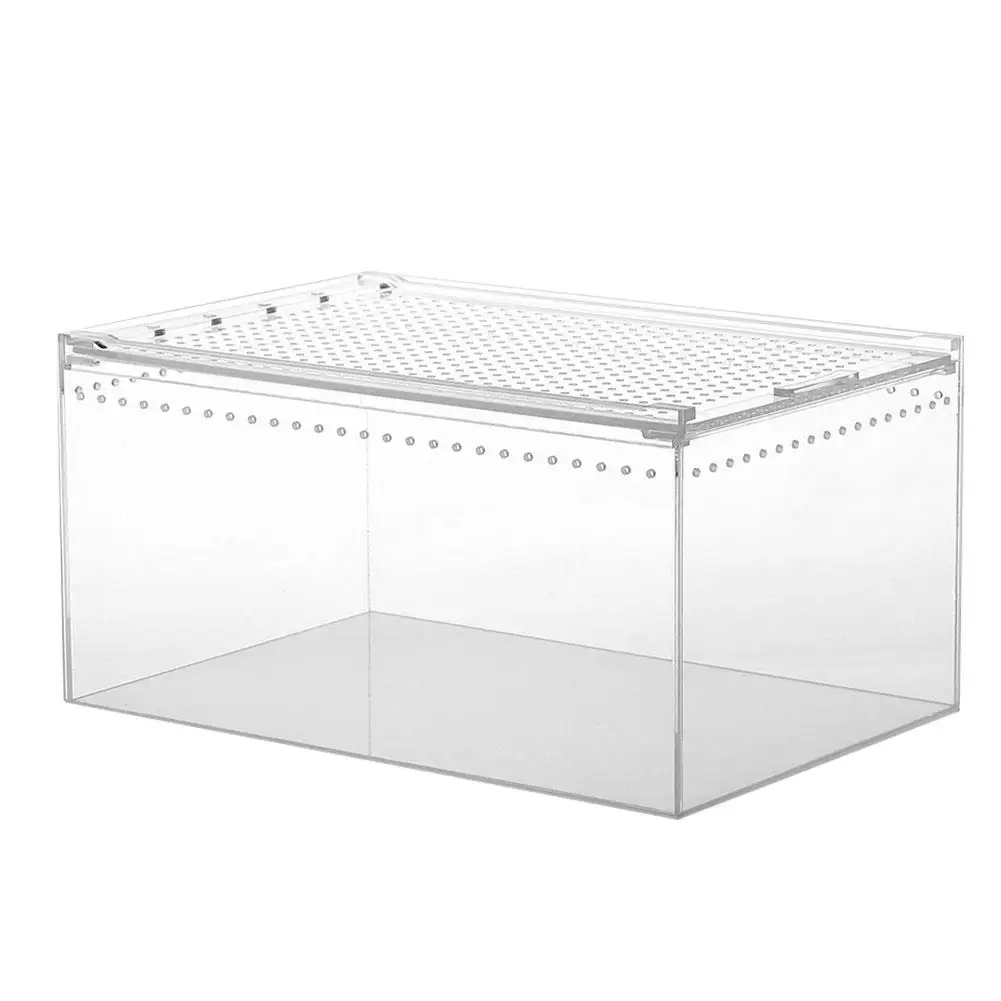 Acrylic Reptile Breeding Box - Image 8