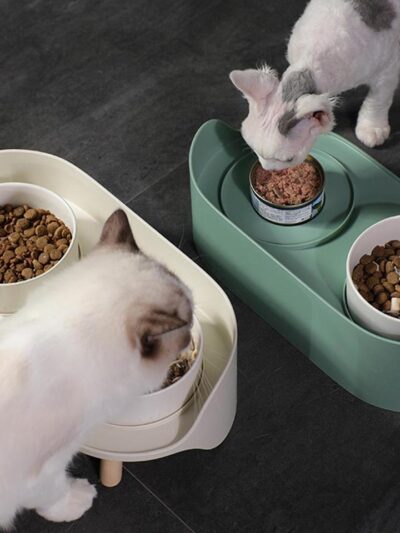 Dual Feeding Cat Bowls