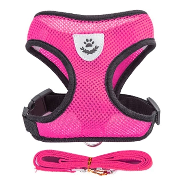Dog Harness With Walking Leash - Image 11