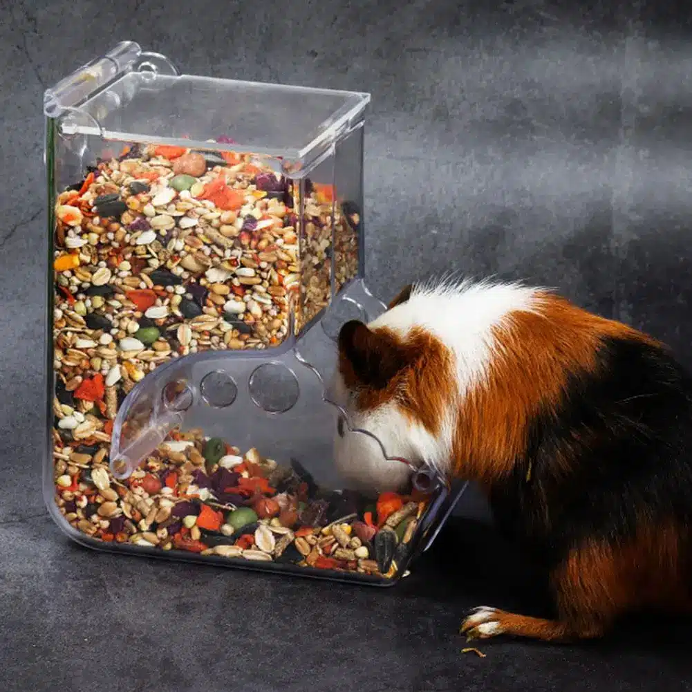 Hamster Rabbit Food Dispenser