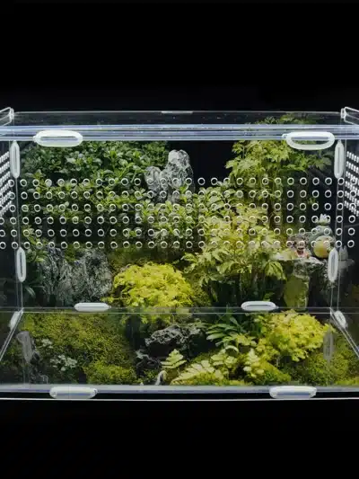 Large Acrylic Terrarium