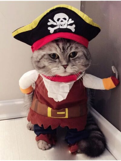 Funny Cat Pirate Costume