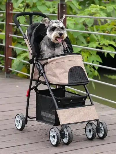 Pet Stroller & Buggy