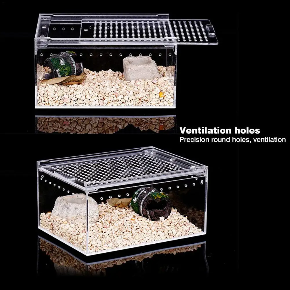 Acrylic Reptile Breeding Box - Image 3