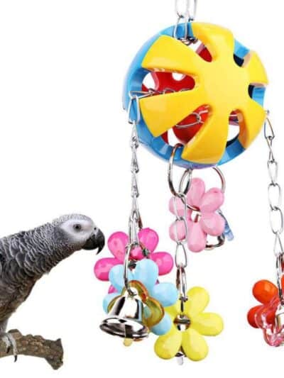 Colorful Parrot Bird Toys with Beads and Bells