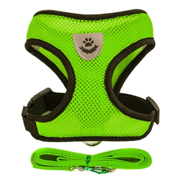 Dog Harness With Walking Leash - Image 13