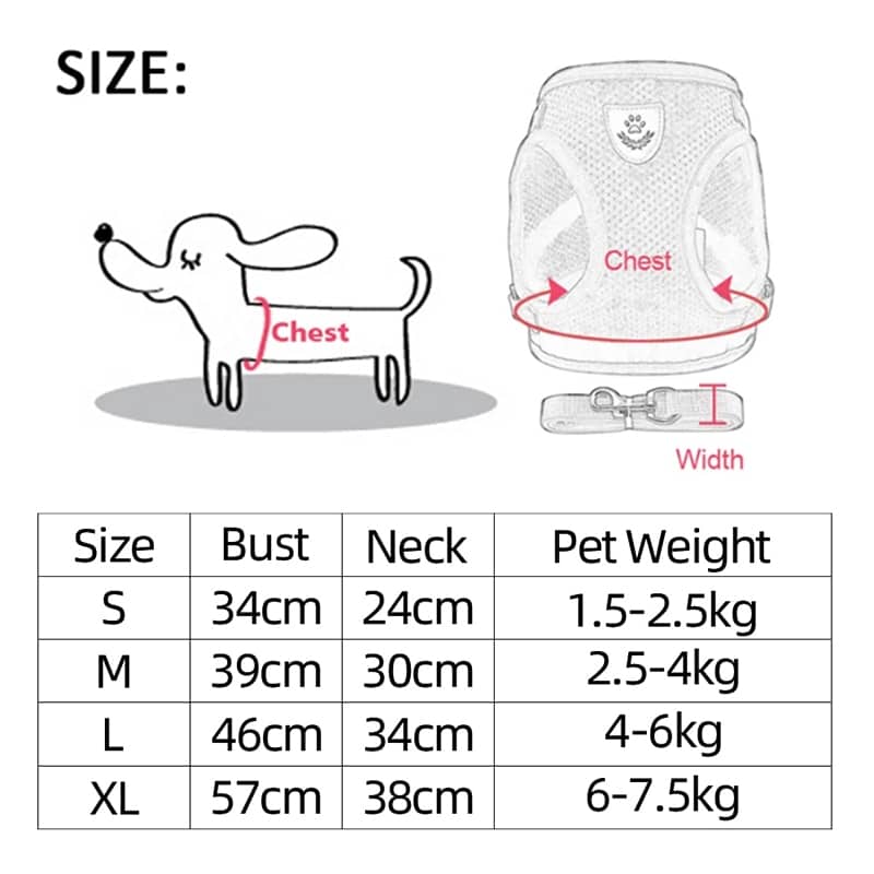 Dog Harness With Walking Leash - Image 5
