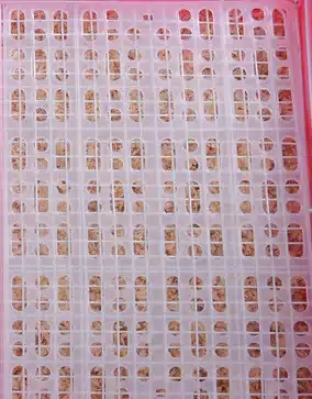 Pet Hamster Cage Mat - Image 7