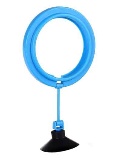 Aquarium Fish Feeding Ring