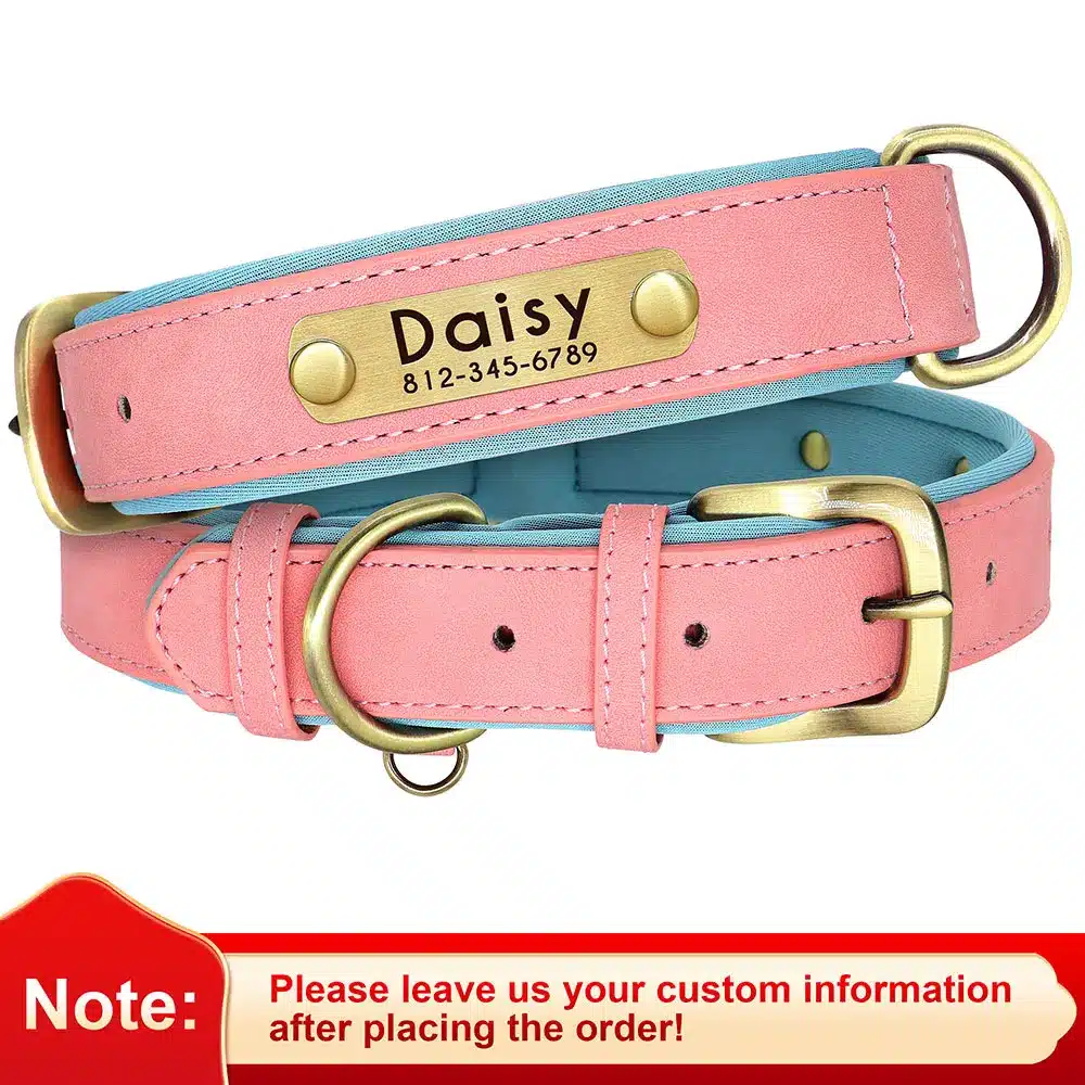 Customized Leather ID Nameplate Dog Collar Soft Padded Dogs Collars Free Engraving Name for Small Medium Large Dogs Adjustable - Image 12