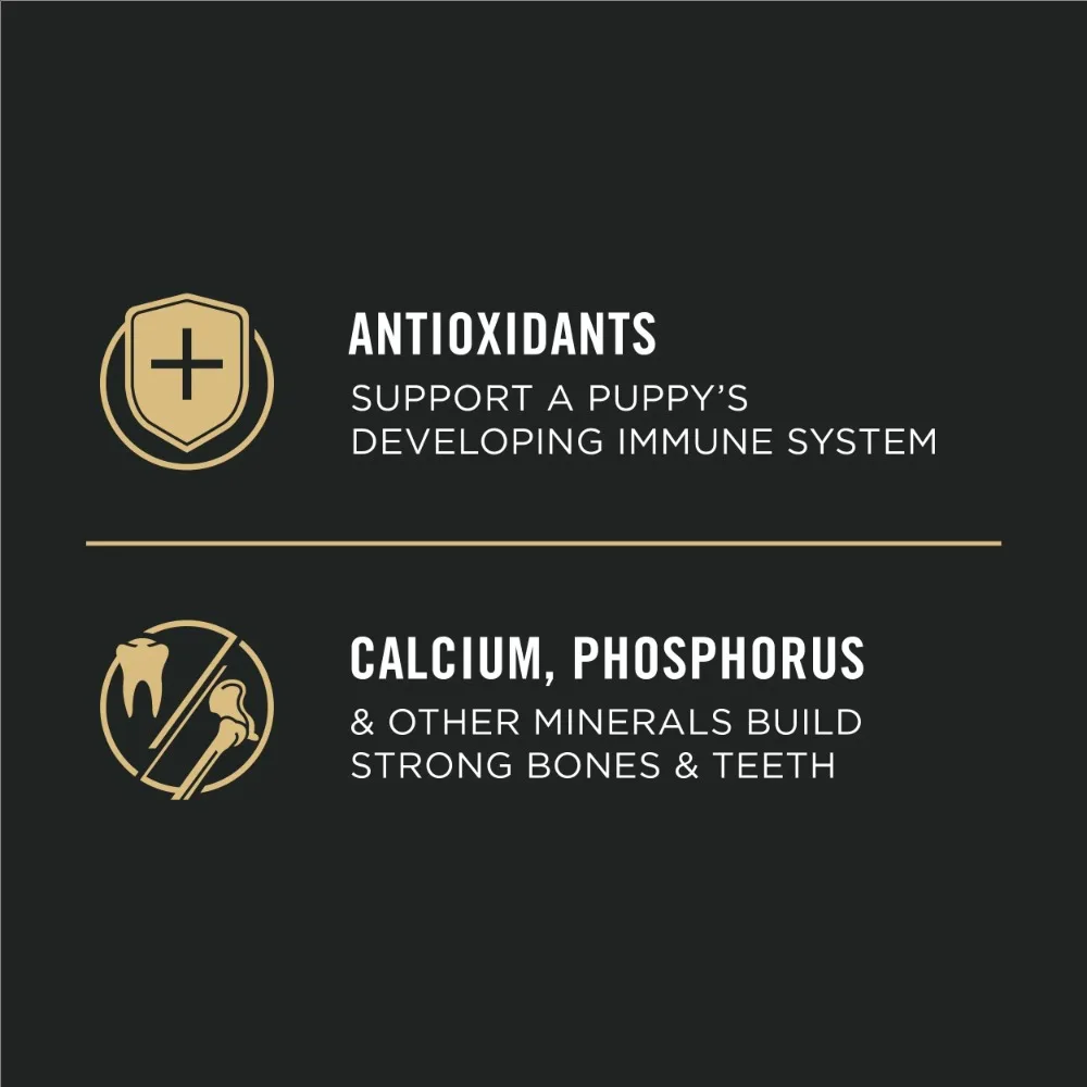 Purina Pro Plan Puppy Dry Dog Food High Protein, Real Chicken & Rice, 34 lb Bag - Image 2