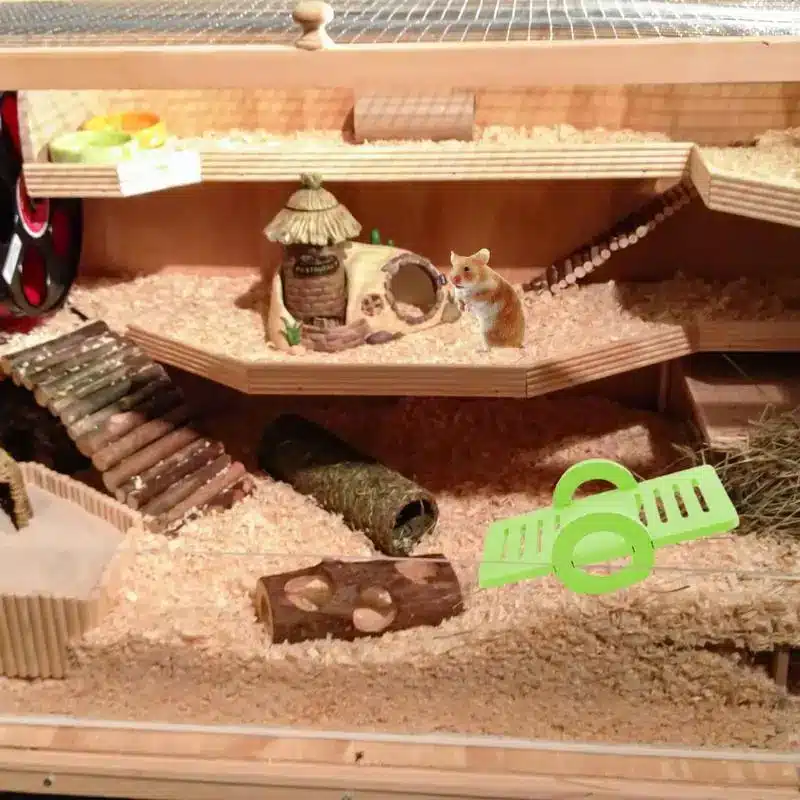 Wooden Hamster Toys - Image 4