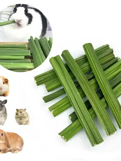 20g Natural Dried Papaya Stem Toy