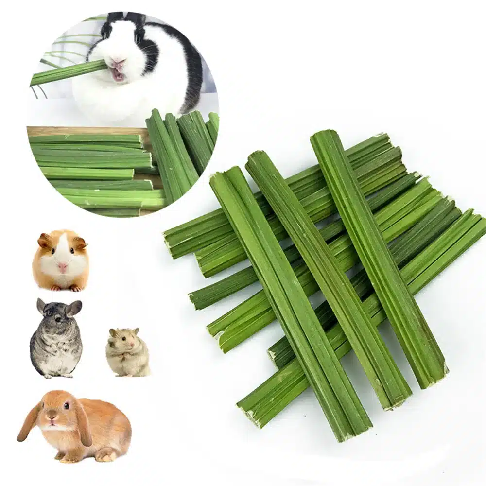 20g Natural Dried Papaya Stem Toy