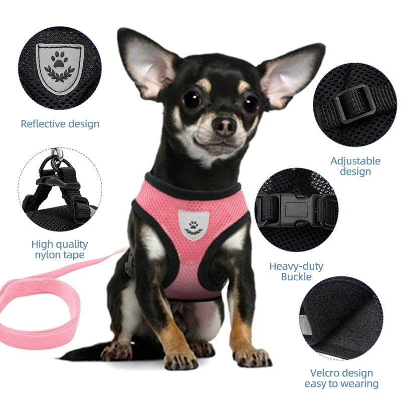 Dog Harness With Walking Leash - Image 3