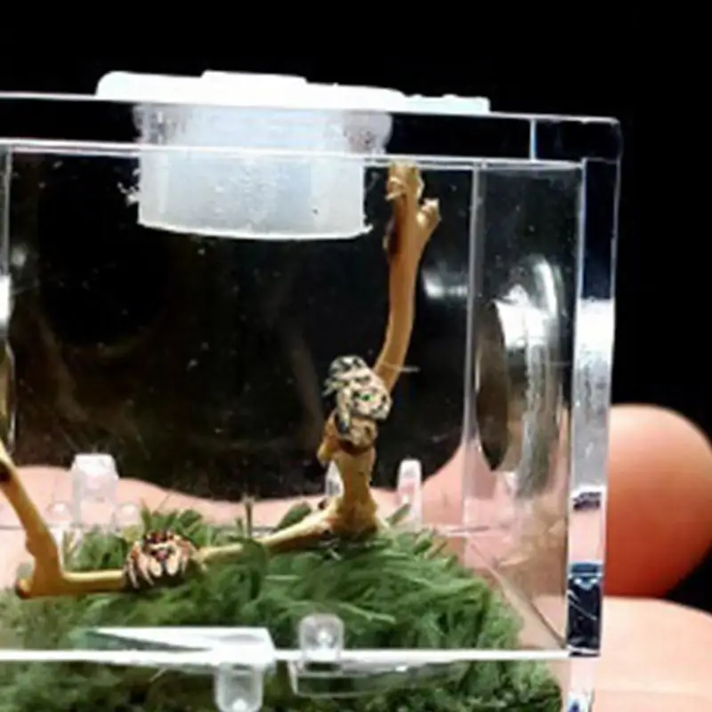 Mini Reptiles Breeding Box - Image 3