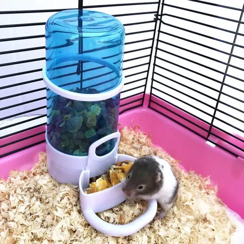 Automatic Feeder for Small Pet - Image 5