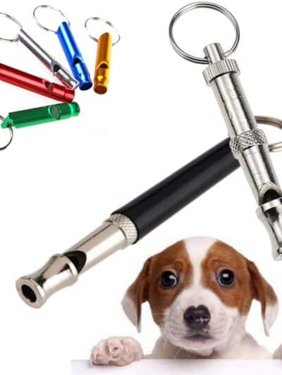 Dog Training Whistle