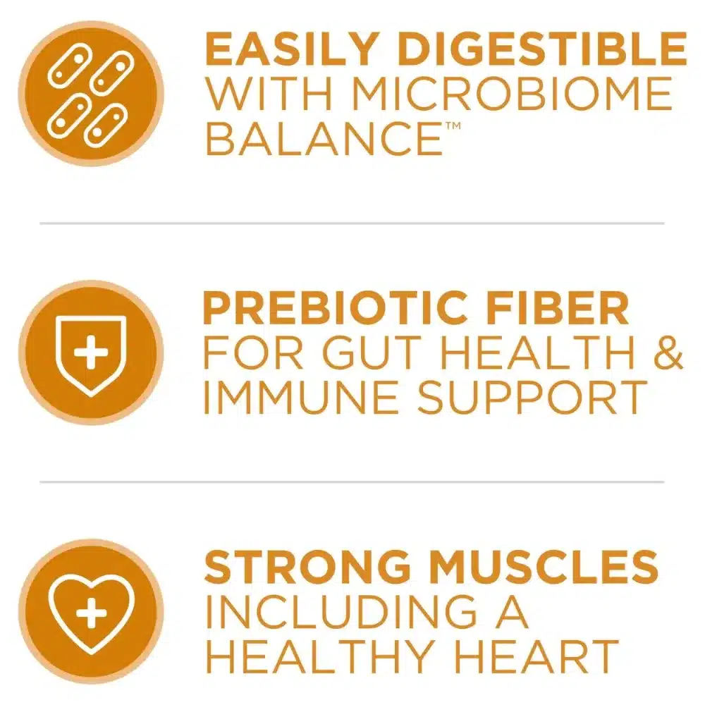 Purina ONE Plus Dry Dog Food for Adult Dogs, Real Protein Rich Natural Chicken & Rice Formula, 40lb Bag - Image 2