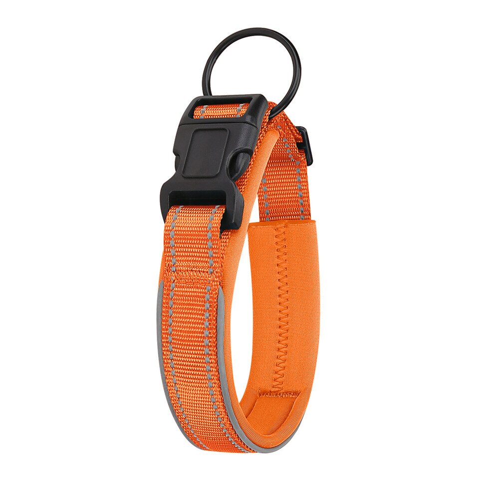 Anti-Lost Dog Collar With Airtag - Image 28