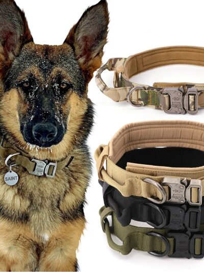 Tactical Dog Training Collar and Leash Set for All Dogs
