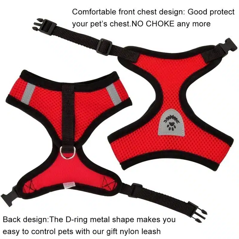 Cat Harness & Leash - Image 2
