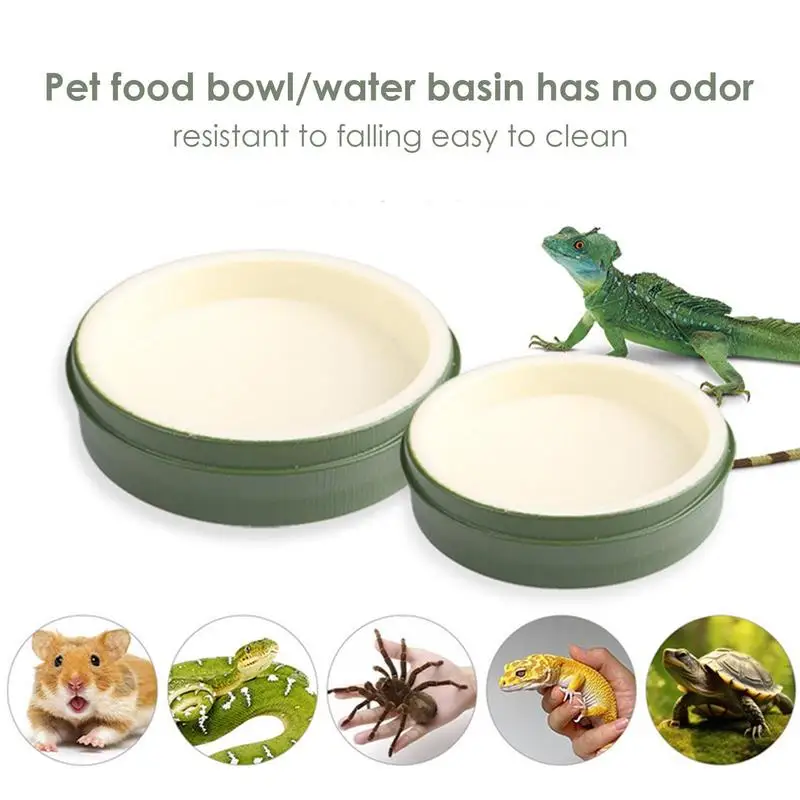Reptile Water Bowl Food Feeder Dish - Image 4