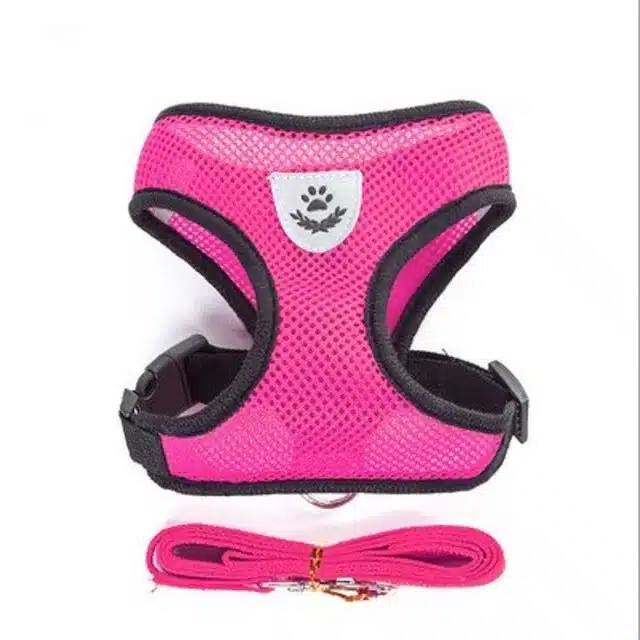 Cat Harness & Leash - Image 6