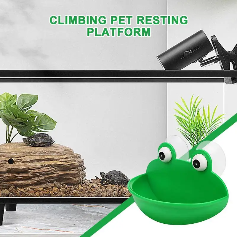 Frog Dish Holder - Image 4