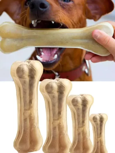 Dog Teething Bone Beef Flavor Puppy Chew Bone