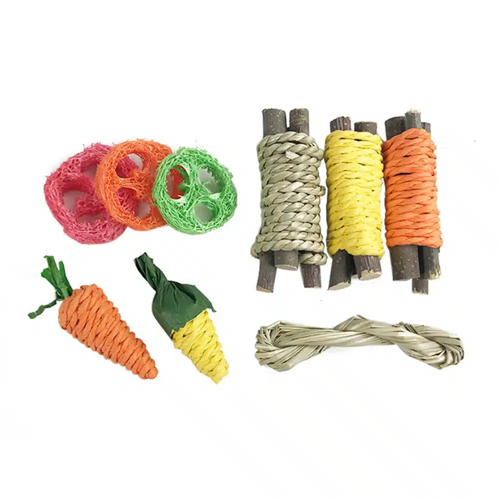9Pcs Pet Rabbit Chew Toy Sets - Image 7