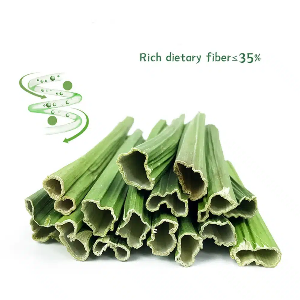 20g Natural Dried Papaya Stem Toy - Image 4