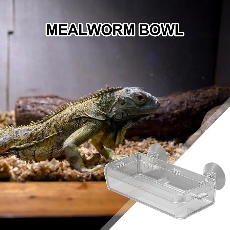 Reptile Food Dish Bowl - Image 4