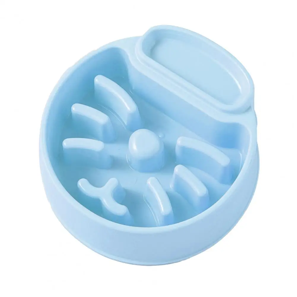 Anti-scratch Large Cat Bowl - Image 8