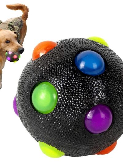 Pet Light Ball Dog Toy