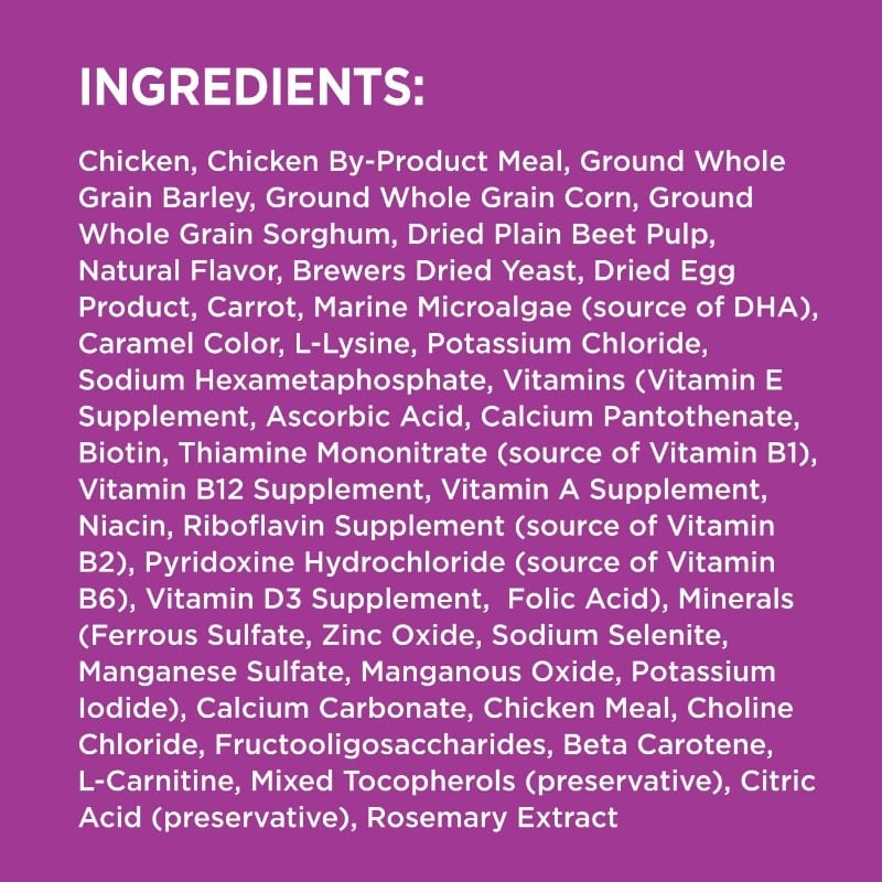 Healthy Aging Adult Dry Dog Food for Mature and Senior Dogs with Real Chicken, 29.1 lb. Bag - Image 4