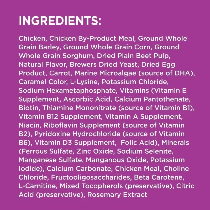 Healthy Aging Adult Dry Dog Food for Mature and Senior Dogs with Real Chicken, 29.1 lb. Bag - Image 6