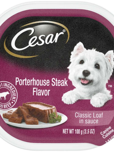 Cesar Classic Loaf in Sauce Adult Wet Dog Food Porterhouse Steak 3.5oz 24pk