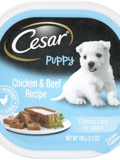 Cesar Classic Loaf in Sauce Puppy Wet Dog Food Chicken & Beef 3.5oz 24pk