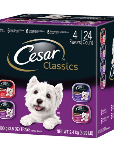 Cesar Classic Loaf in Sauce Adult Wet Dog Food Variety Pack (Beef, Filet Mignon, Grilled Chicken, Poterhouse Steak) 84.66oz 24pk