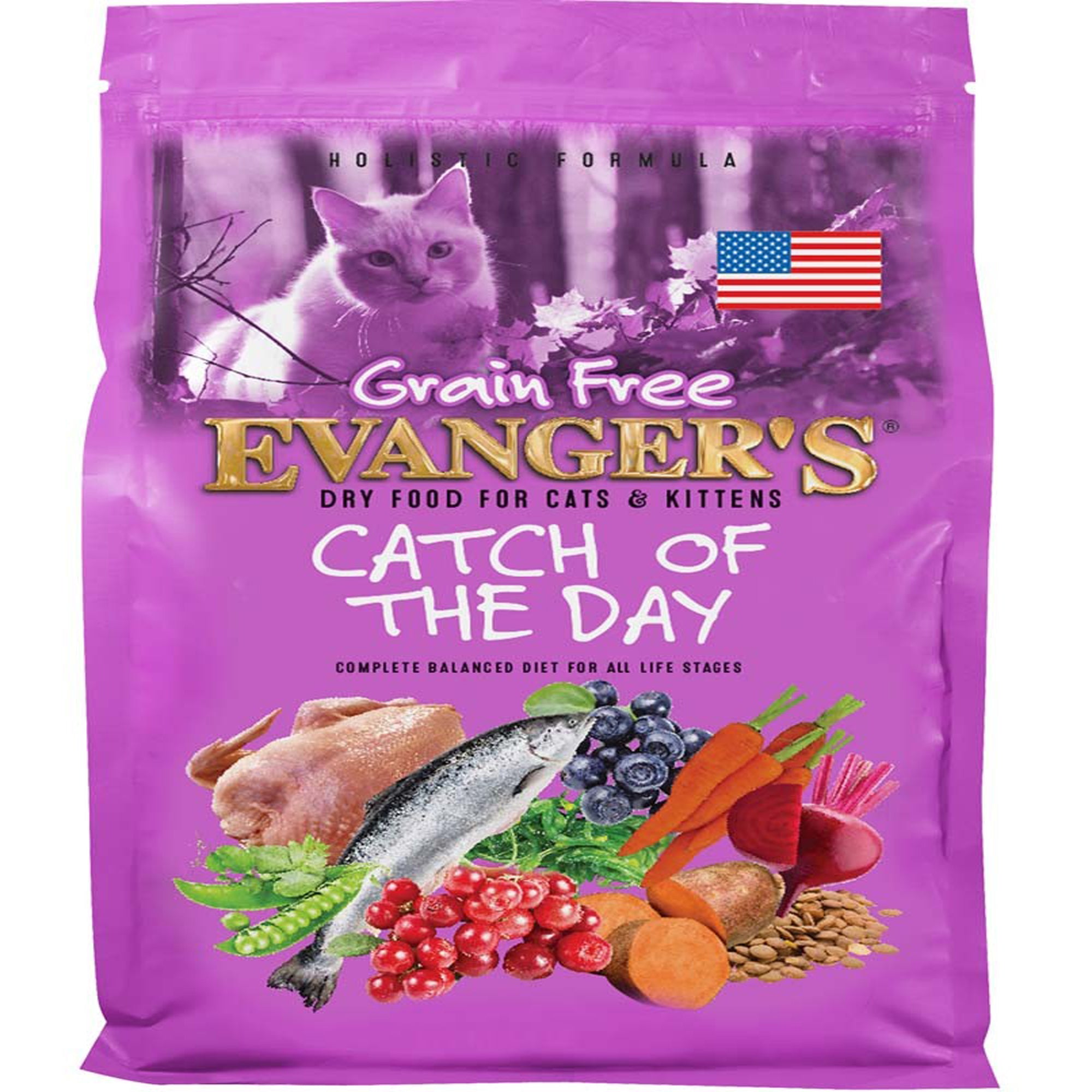 Evanger's Grain-Free Dry Cat & Kitten Food Catch of the Day 4.4lb