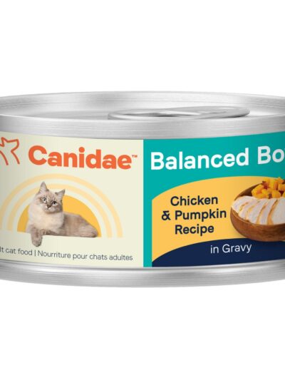 CANIDAE Balanced Bowl Canned Cat Food Chicken Pumpkin, 24ea/3 oz