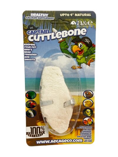 A & E Cages Natural Cuttlebone 1ea/4 in. (Pack of 3)