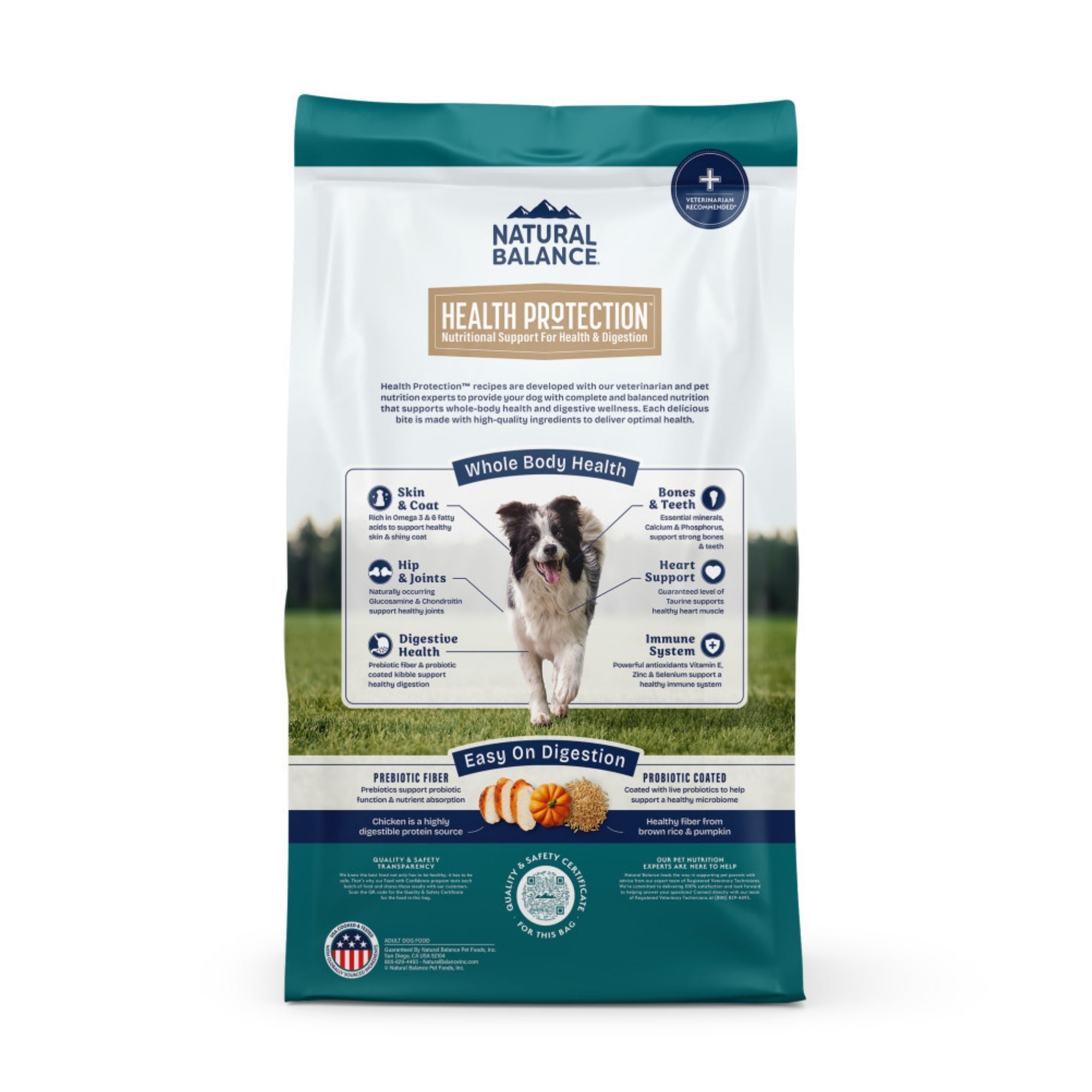 Natural Balance Pet Foods Health Protection Dry Dog Food Chicken, Rice & Pumpkin 4lb