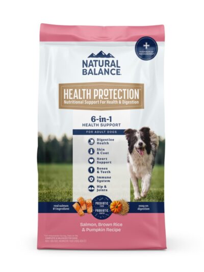 Natural Balance Pet Foods Health Protection Dry Dog Food Salmon, Brown Rice & Pumpkin 4lb