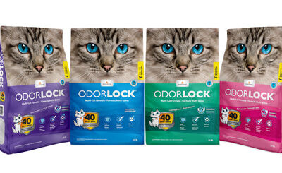 Intersand Odorlock Baby Powder Cat Litter 1ea/13.2 lb